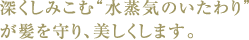 深くしみこむ"水蒸気のいたわり"が髪を守り、美しくします。